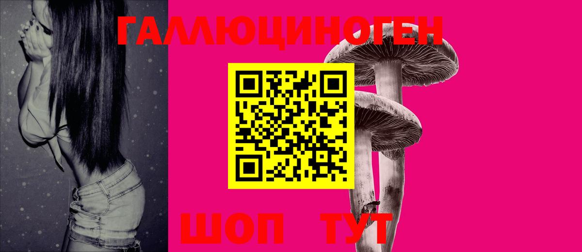 Новосибирск  Псилоцибиновые грибы мухоморы  купить наркотик  Вход с VPN 